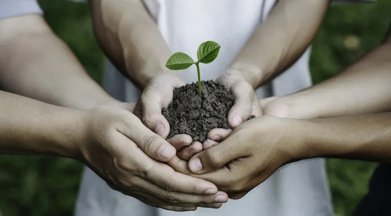 OpenWeather Challenge