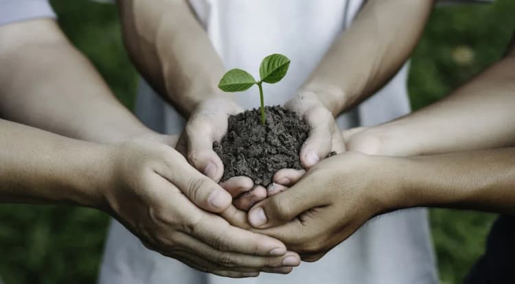 OpenWeather Challenge